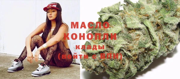 шишки Арсеньев