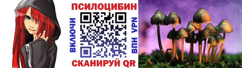 Псилоцибиновые грибы ЛСД  МЕГА   shop телеграм  купить наркотики цена  Томари 